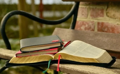 浙江自考完本科能干什么?