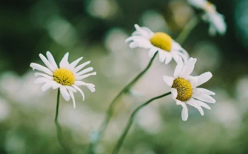 浙江自考本科能不考英語么?