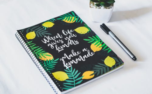 浙江自考后學歷能寫本科嗎?