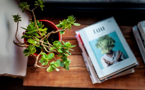 怎么更換自考準(zhǔn)考證上的照片？